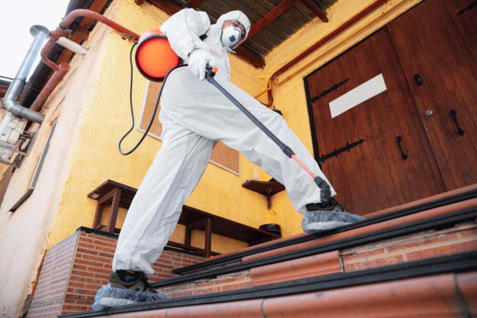 pest control