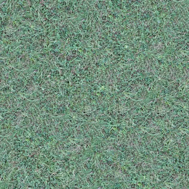 pet safe lawn pest control in Orlando FL