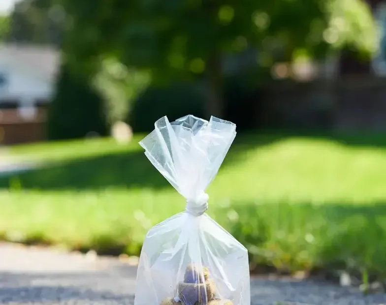 Lake Orion pet waste